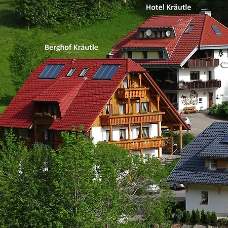Schwarzwald Aparthotel Kräutle-2