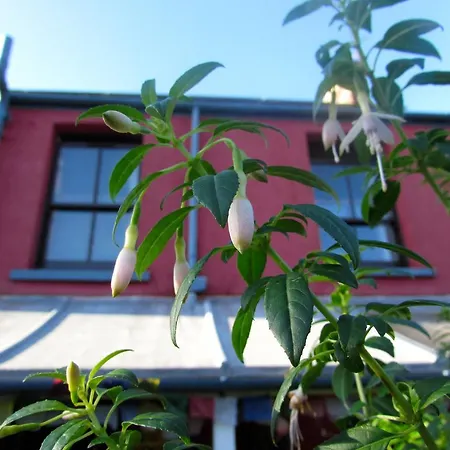 Western House-2