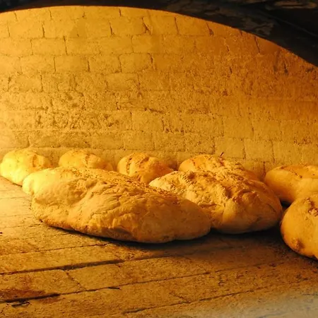 La Vecchia Quercia-3