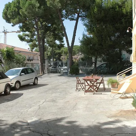 Pino Marittimo-2