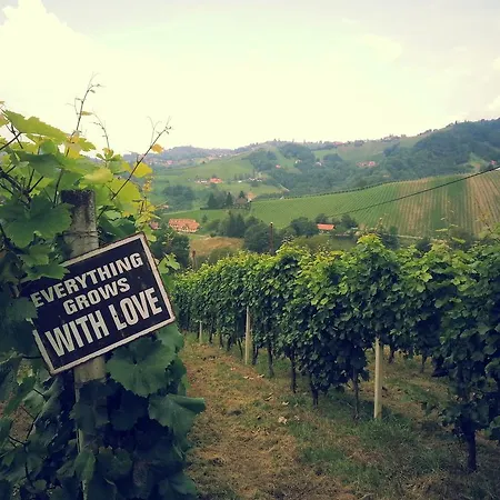 Weingut Reiterer-2