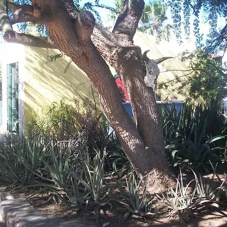 Casabuena B&B-2
