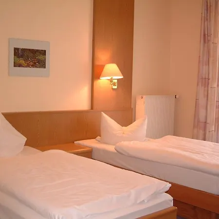 Waldhotel Hubertus-2