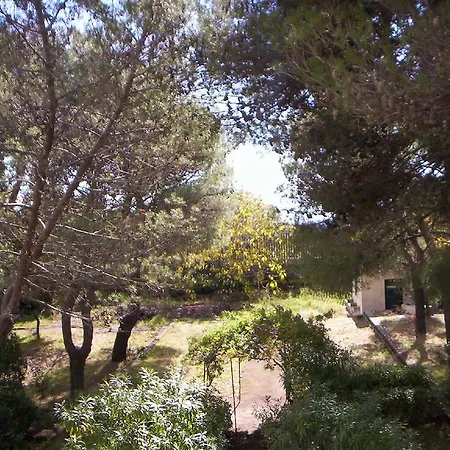 Villa Morgante B&B-3