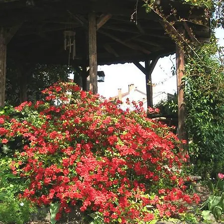 Le Camelie-3