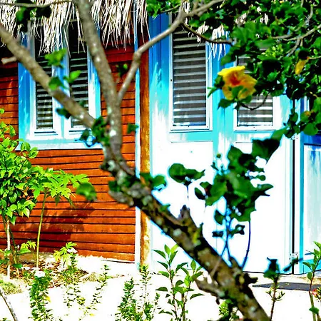 Las Puertas Del Paraiso-2