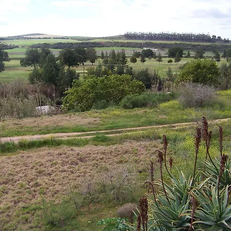 Lemontree Cottage-2
