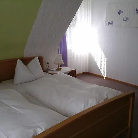 Hotel Amselhof-2