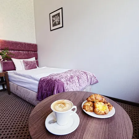 Hotel Silvia Gold Gliwice-3