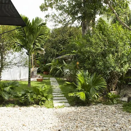Casamarilla-2