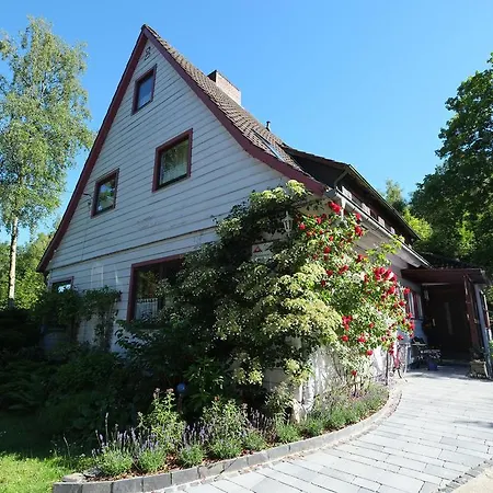 Frauenpension Arleta - Women only-3