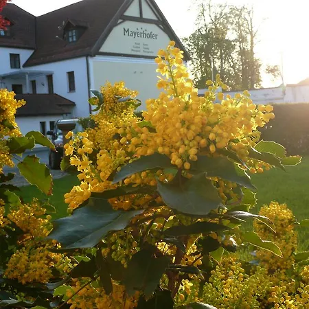 Hotel-Restaurant Mayerhofer-3