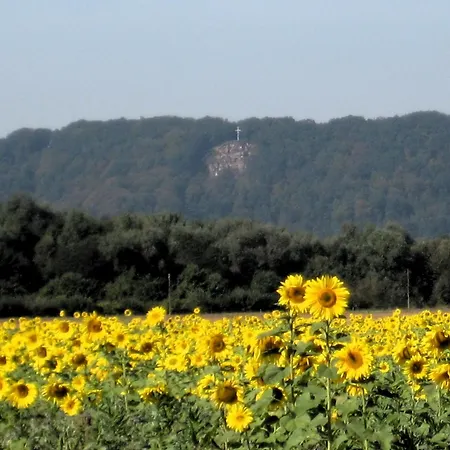 Hotel zum Stern-3