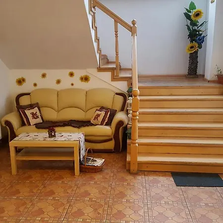 Floarea Soarelui-2
