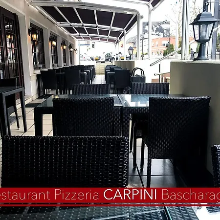 Hotel Carpini-3