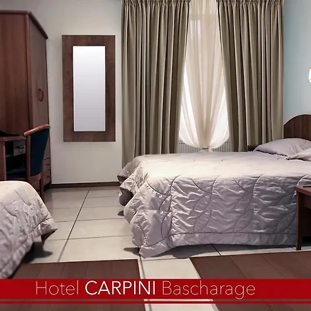 Hotel Carpini-2