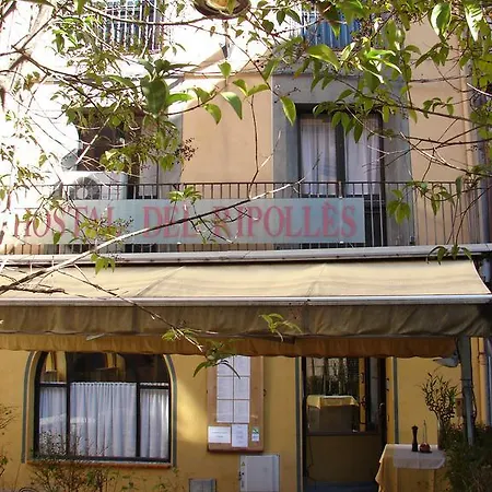 Hostal Del Ripolles-3