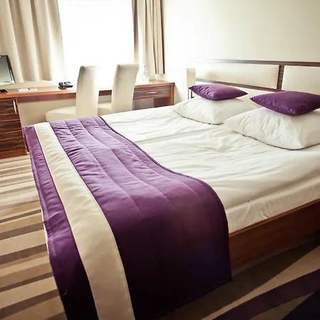 Hotel Mazovia Airport Modlin-2