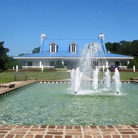 Pawley'S True Blue-2