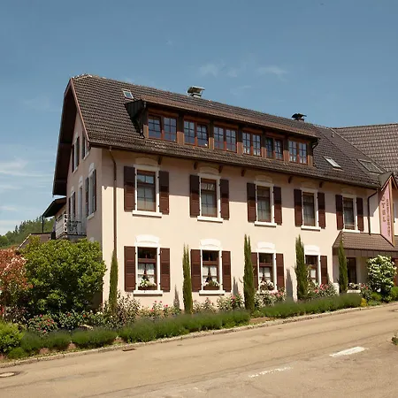 Rebstock Kappelwindeck-2