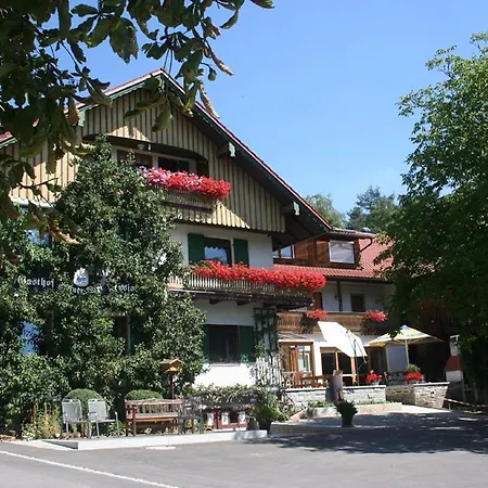 Steiner Wirt-2