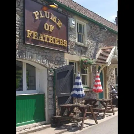 Plume Of Feathers-2