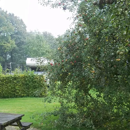 B&B Slaoperij-3