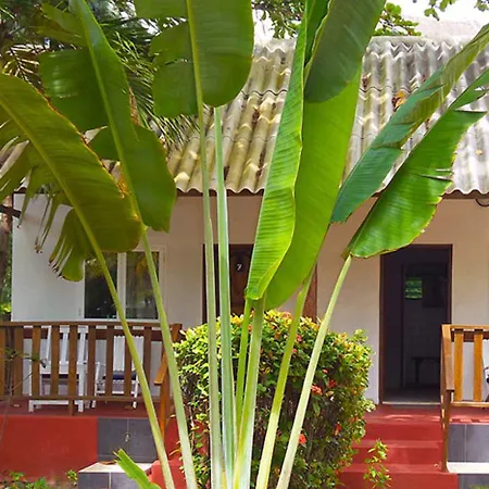 Hotel Village Vacances Awale Plage-3