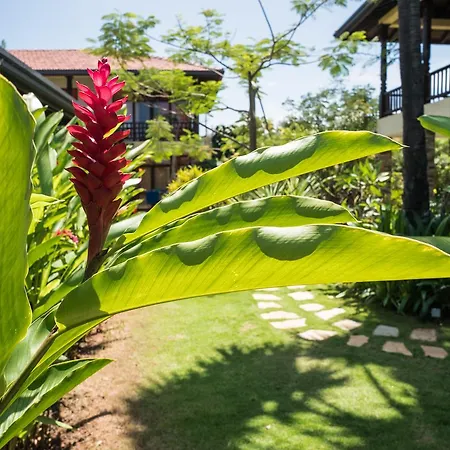 Dream Garden-3