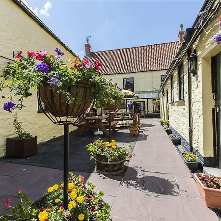 The Swan-3
