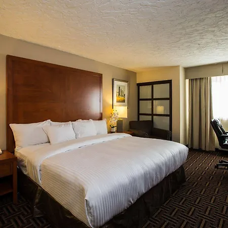 Wyndham Garden Medicine Hat Conference Center-3