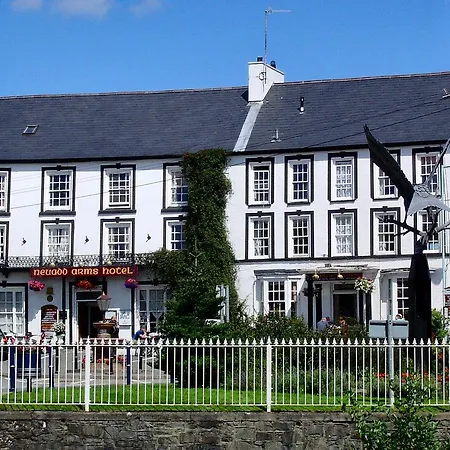 Neuadd Arms Hotel-2