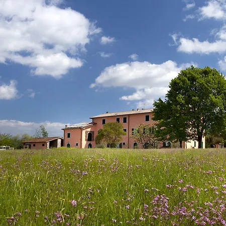 Tenuta San Giovanni Lucca-2