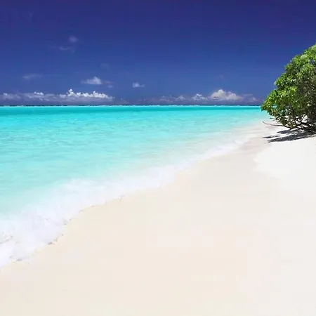 Holiday Cottage Thoddoo, Maldives-3