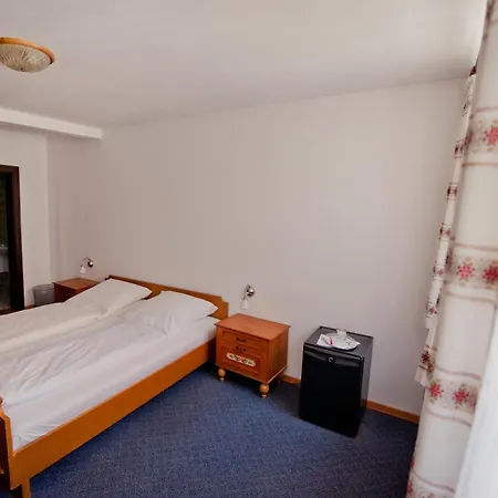 Hotel Alt-Ringlein-2