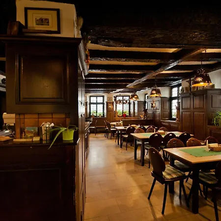 Hotel Alt-Ringlein-2