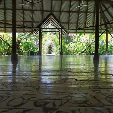 Indigo Yoga Surf Resort-2