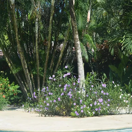 Indigo Yoga Surf Resort-3