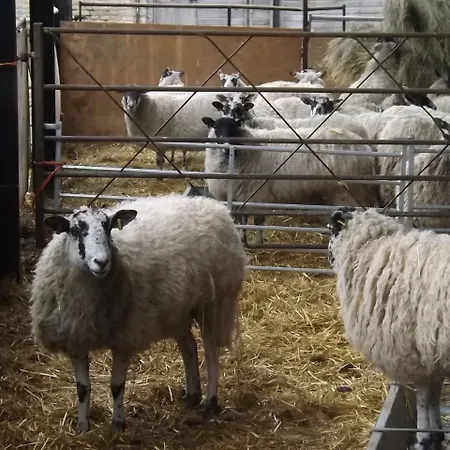 Peartree Farm-2
