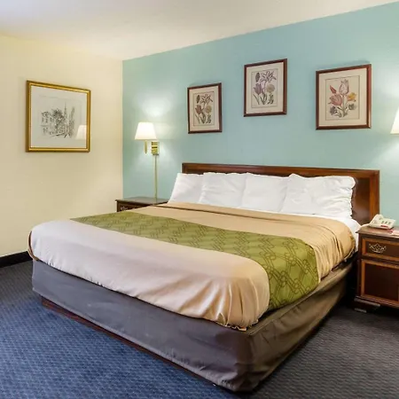 Red Roof Inn Sutton-3