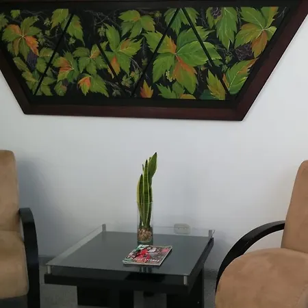 Hotel Tropical-2