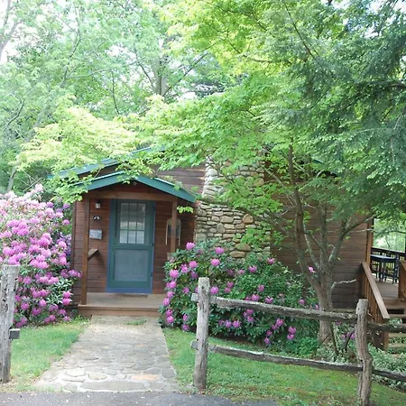 Mountain Springs Cabins-2