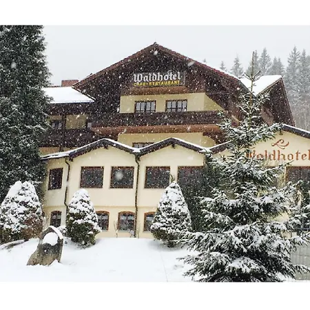 Waldhotel Seebachschleife-2