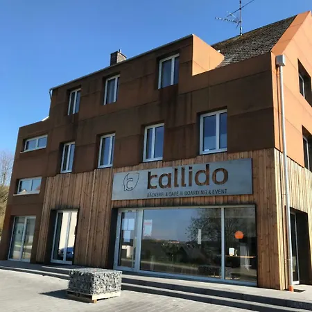 Kallido-3