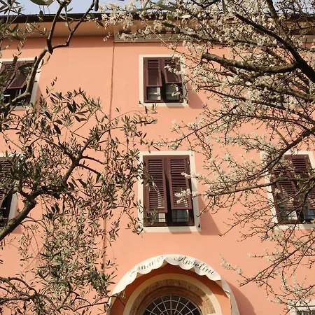 BeB Angelini dal 1911-3