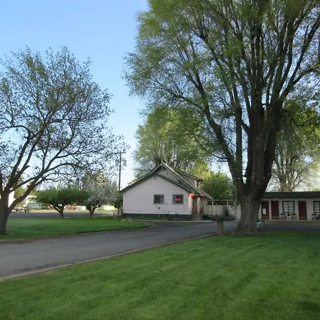 The Willows Motel-3