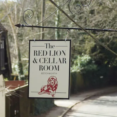 The Red Lion & Cellar Room, Betchworth-2