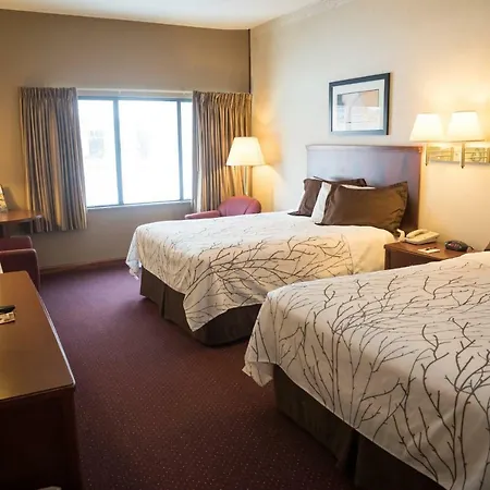 Mineral Palace Hotel & Gaming-3