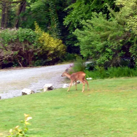 Score Valley Country House-3
