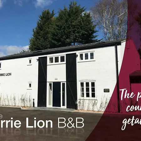 The Merrie Lion-3